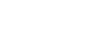 PeopleLink logo